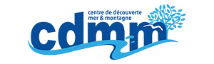 CDMM